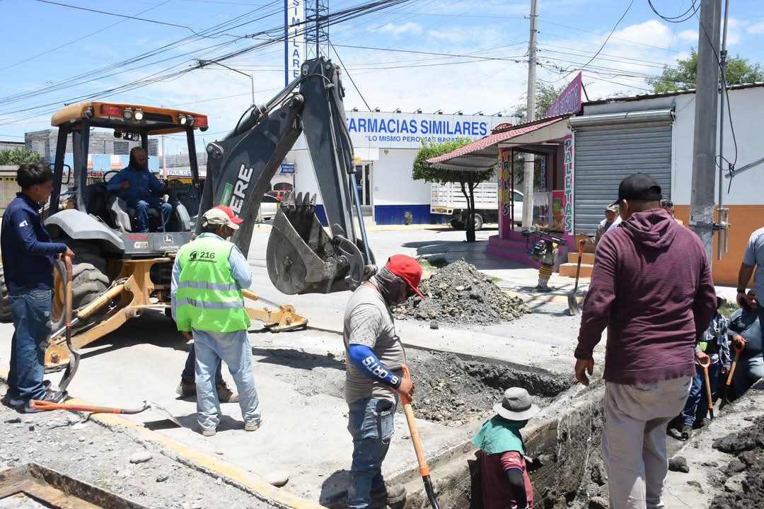 WhatsApp Image 2025-07-10 at 14.18.42