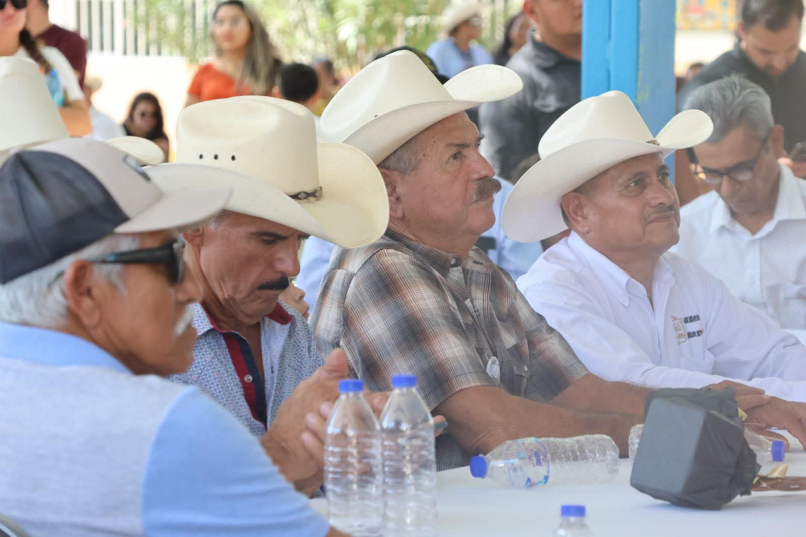 WhatsApp Image 2025-08-29 at 15.25.00