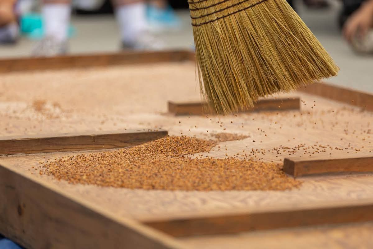 WhatsApp Image 2025-09-08 at 09.09.05