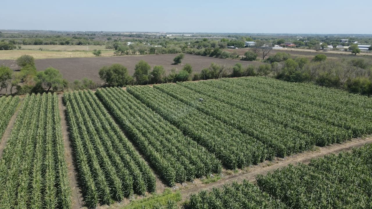 WhatsApp Image 2025-09-08 at 12.48.42 (2)