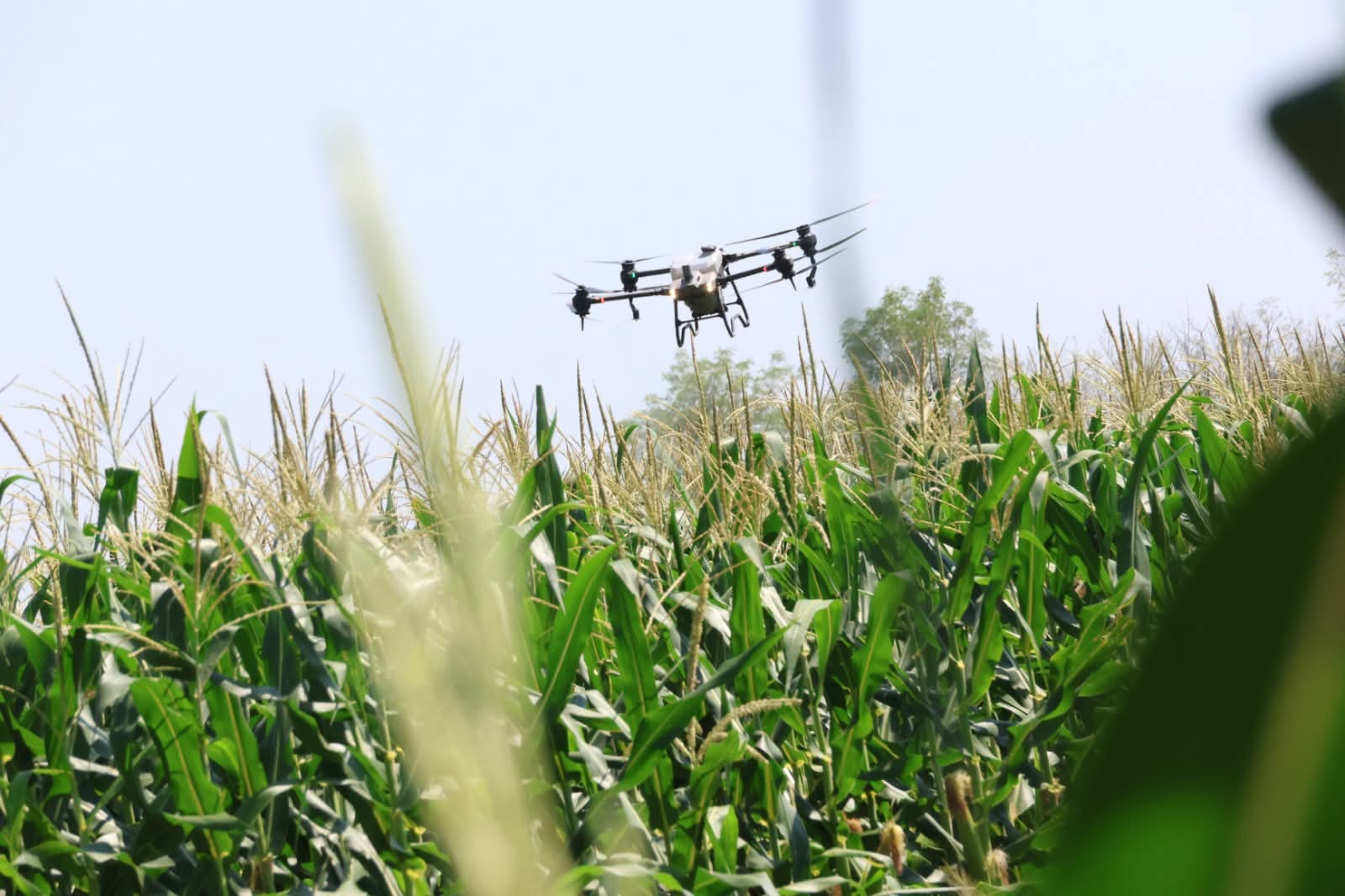 WhatsApp Image 2025-09-08 at 12.48.42 (3)