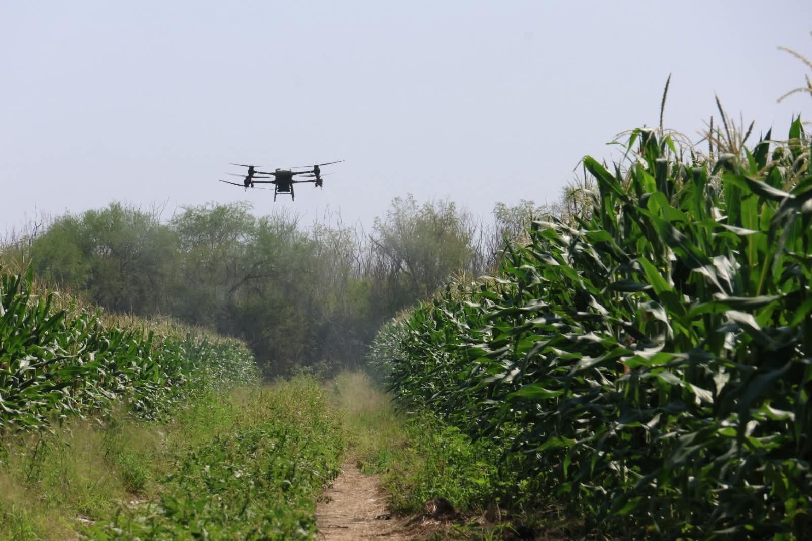 WhatsApp Image 2025-09-08 at 12.48.42