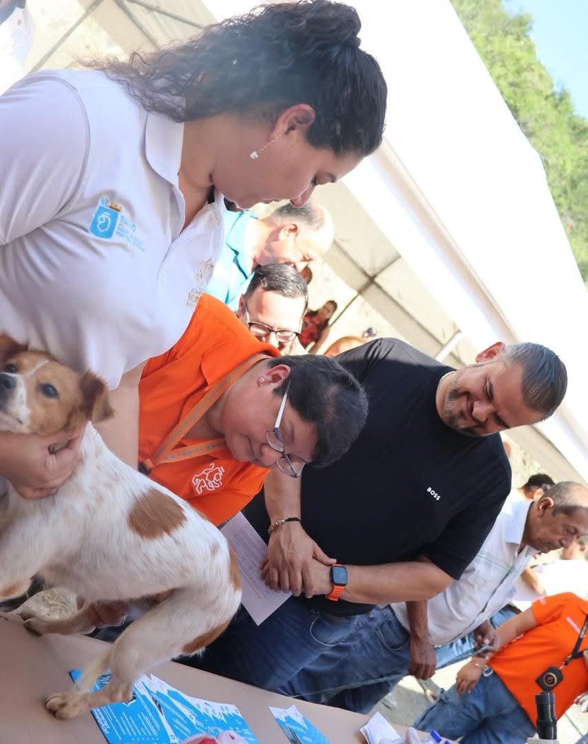 WhatsApp Image 2025-10-07 at 12.22.33 (1)