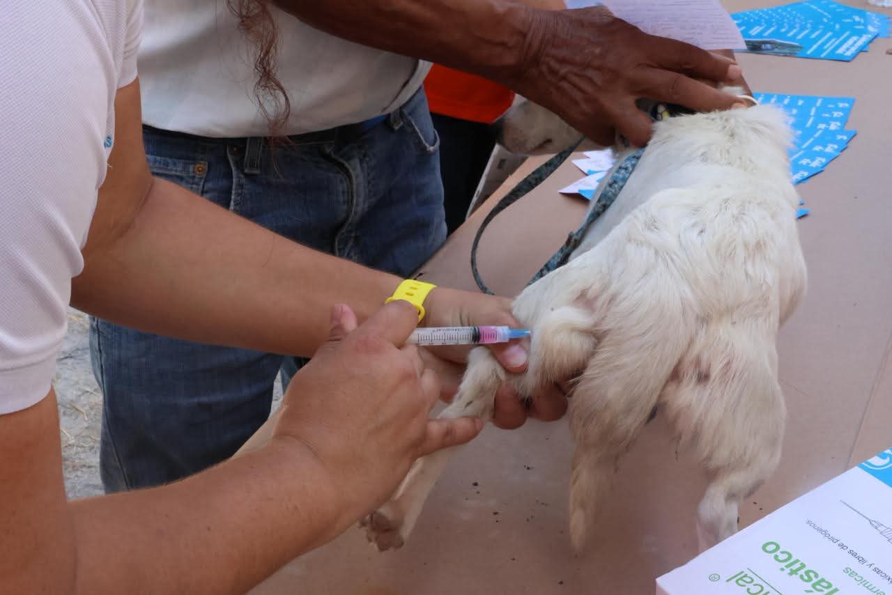 WhatsApp Image 2025-10-07 at 12.22.33 (2)