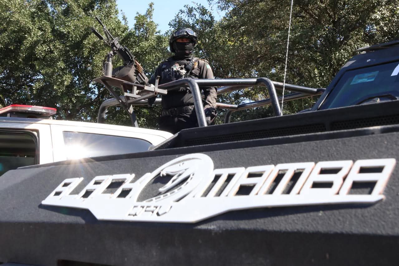 WhatsApp Image 2025-11-14 at 08.39.49